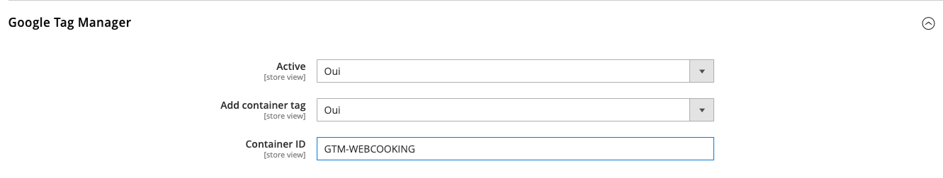 _images/googleanalytics4-magento-config-2-gtm.png